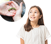 Child thinking about holding a caterpiller