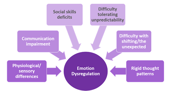 Chart of factors that create dysregulation for people with I-DD